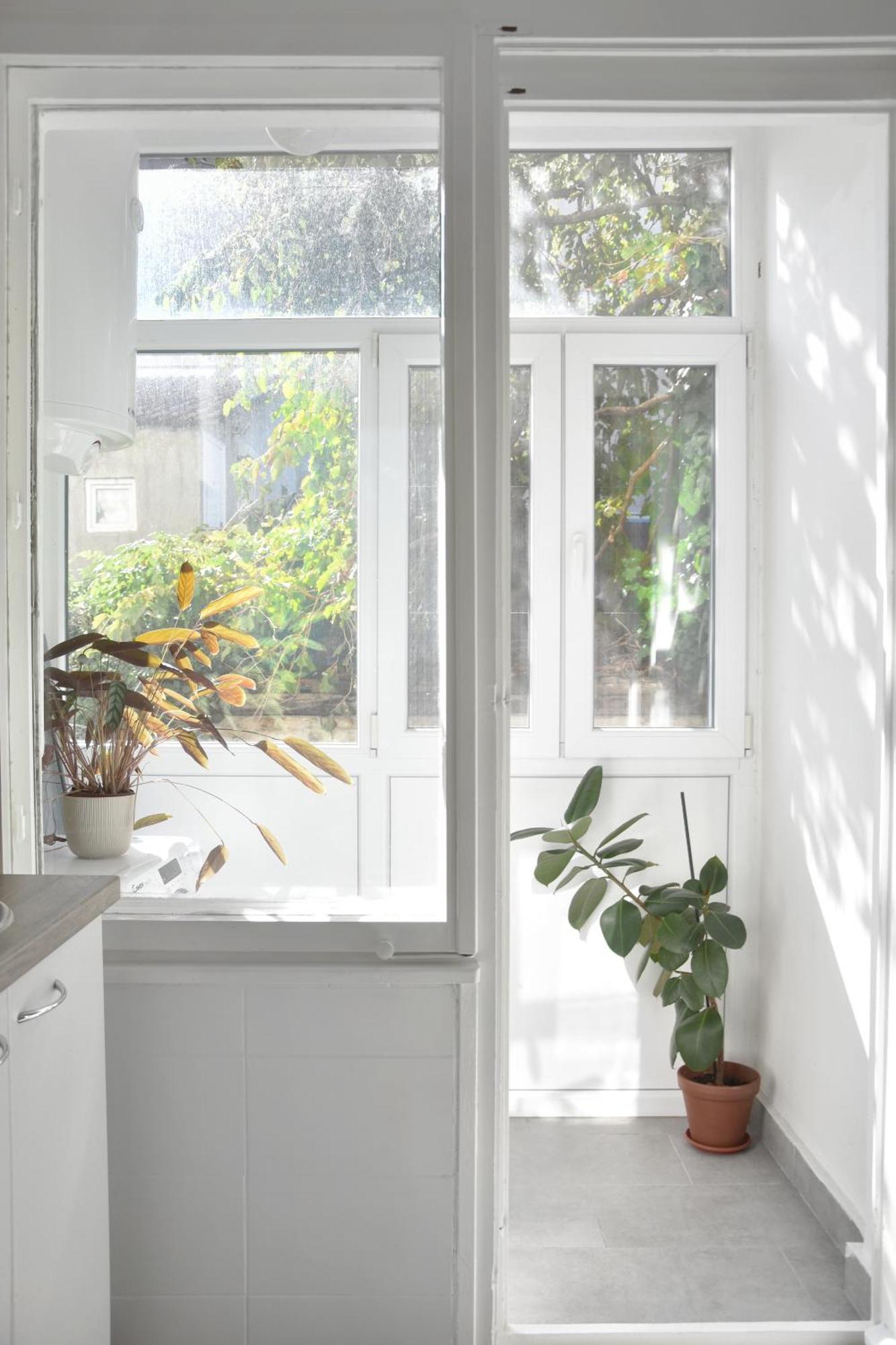 Apartmán Pannonian Sailor Novi Sad Exteriér fotografie